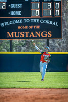 2025 Baseball