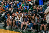 Game Date: 3/2/19 Game #30 of the season and game #3 of the state playoff.